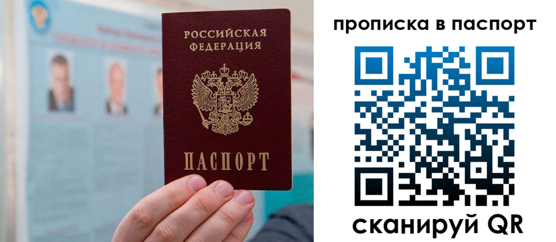 прописка гарантия в Амурской области